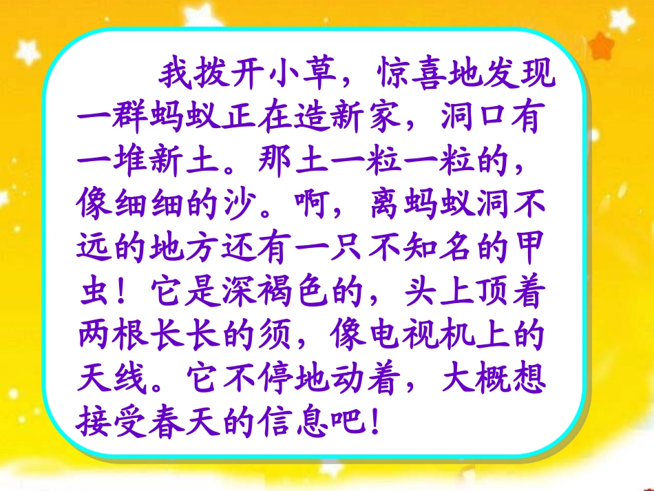 习作3我的发现_第2页