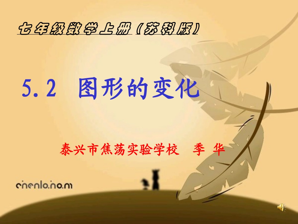 图形的变化课件_第1页