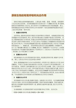 参考：原核生物的有氧呼吸和光合作用