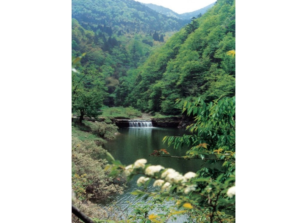 庐山的云雾PPT_第3页