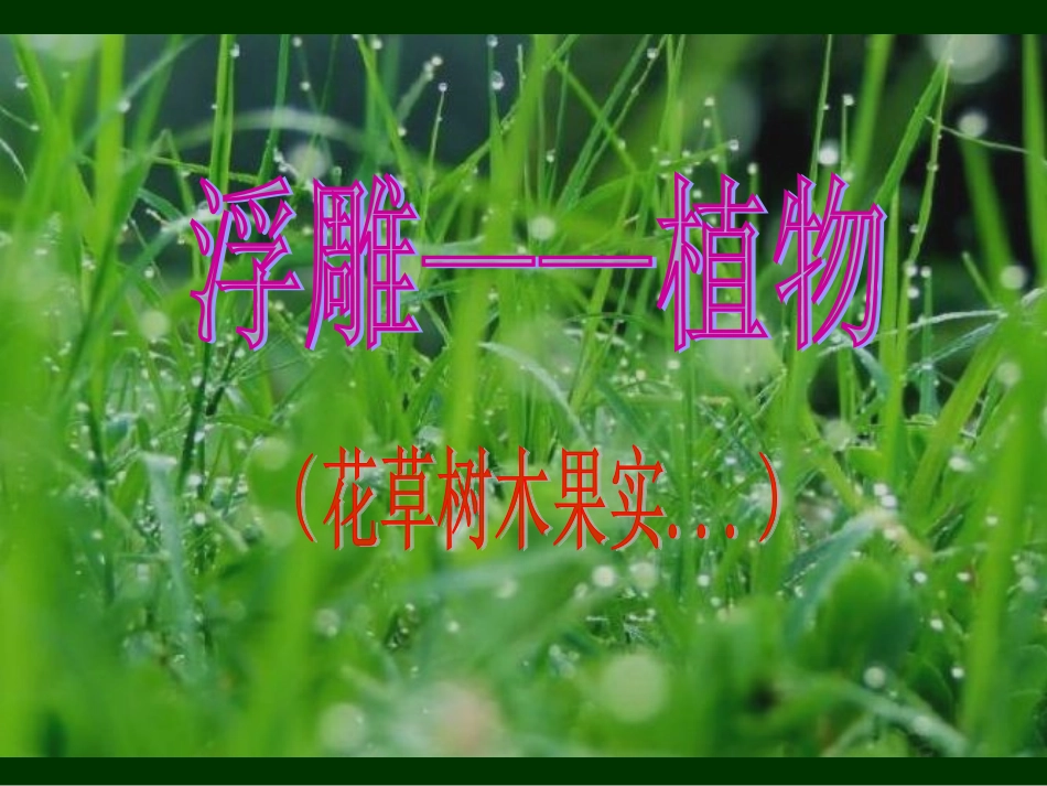 泥塑浮雕植物3_第1页