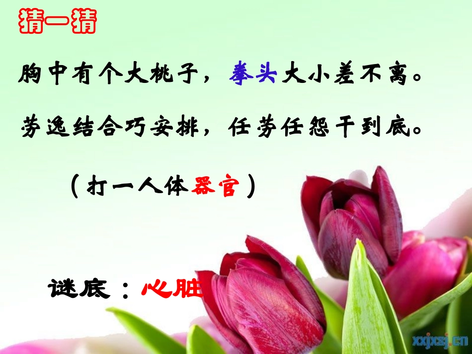 心脏、血液循环_第2页