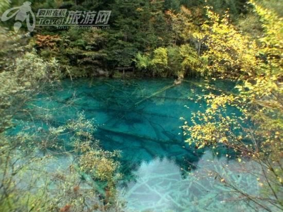 四年级上苏教版《九寨沟》课件_第2页