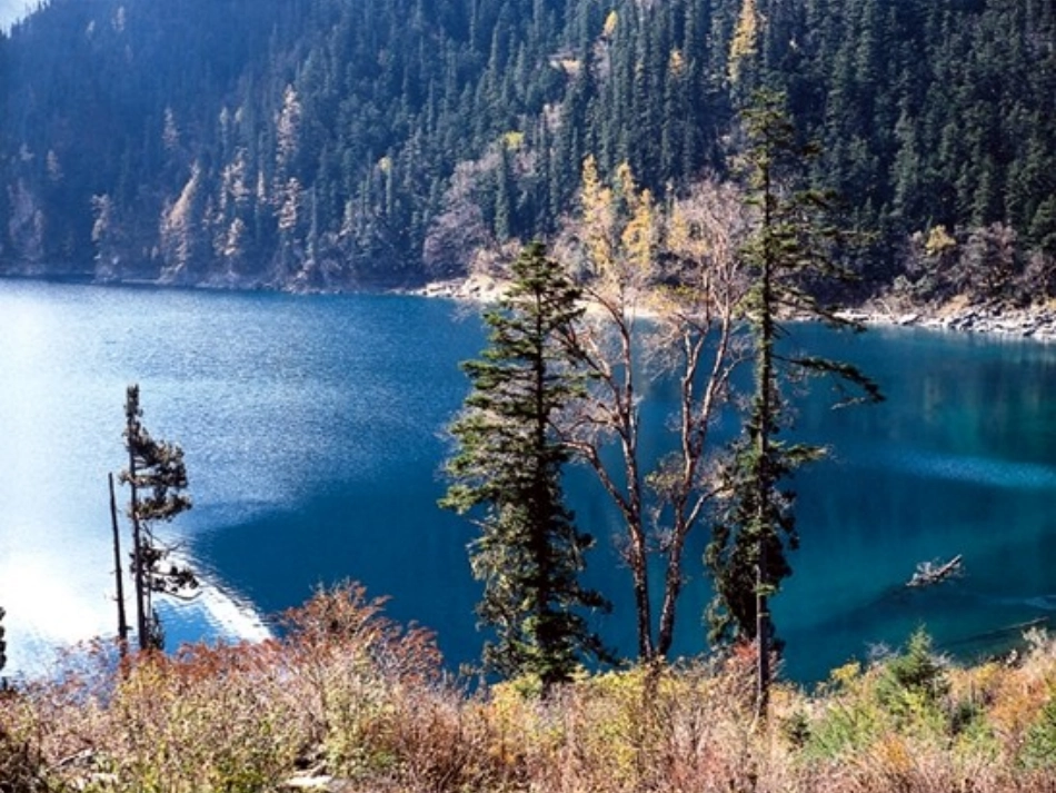 四年级上苏教版《九寨沟》课件_第3页