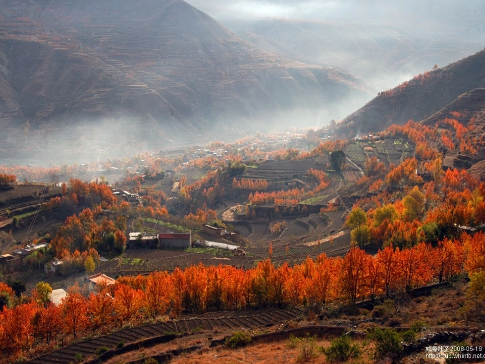 最后的姿势2_第1页