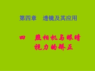《44照相机与眼睛视力的矫正》+flash课件
