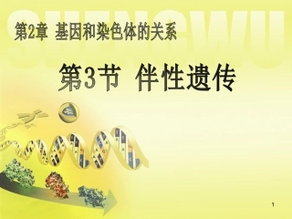 必修二伴性遗传公开课1