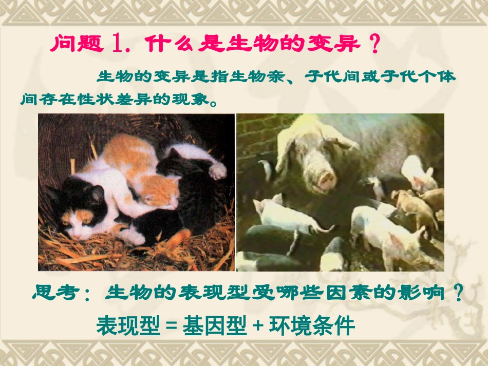 基因突变和基因重组_第2页