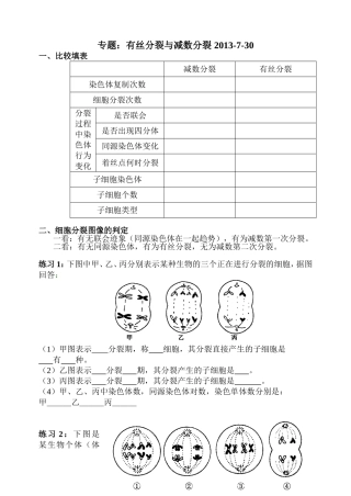 有丝分裂与减数分裂的比较