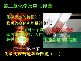 第二章化学反应的速率和限度（1）