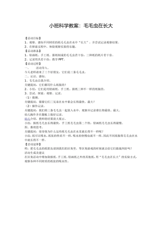 小班科学教案：《毛毛虫在长大》
