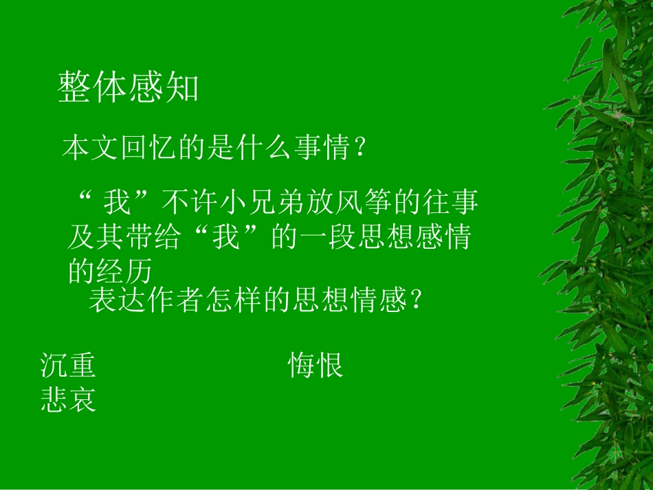 《风筝》课件07_第3页