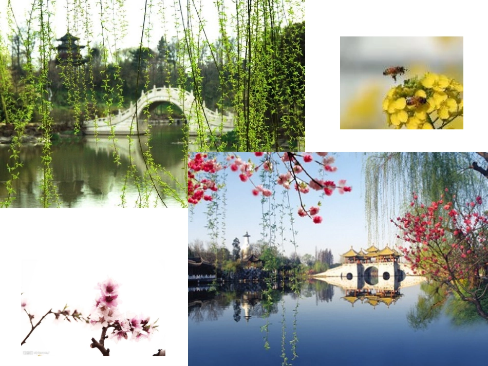 第4课《古诗两首》_第2页