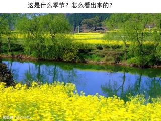 第4课《古诗两首》