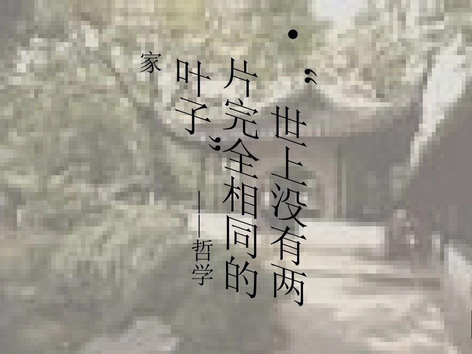 二十八、奇妙的克隆_第3页