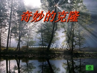 二十八、奇妙的克隆