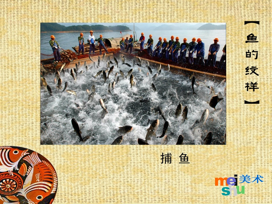 《鱼的纹样》实用的教学设计_第3页