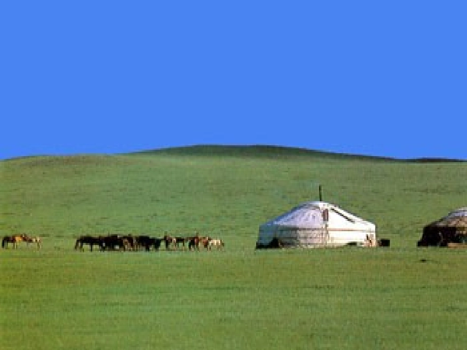 zhang草原的早晨2_第3页