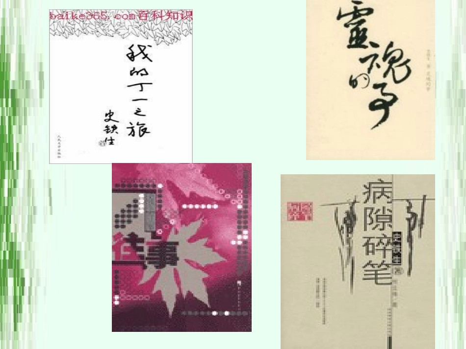 《合欢树》课件(熊伟)_第3页