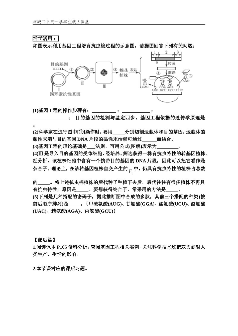 基因工程导学案_第2页