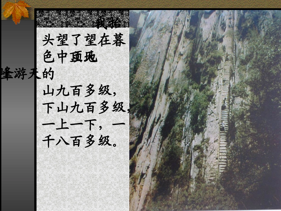 天游峰第二课时_第3页