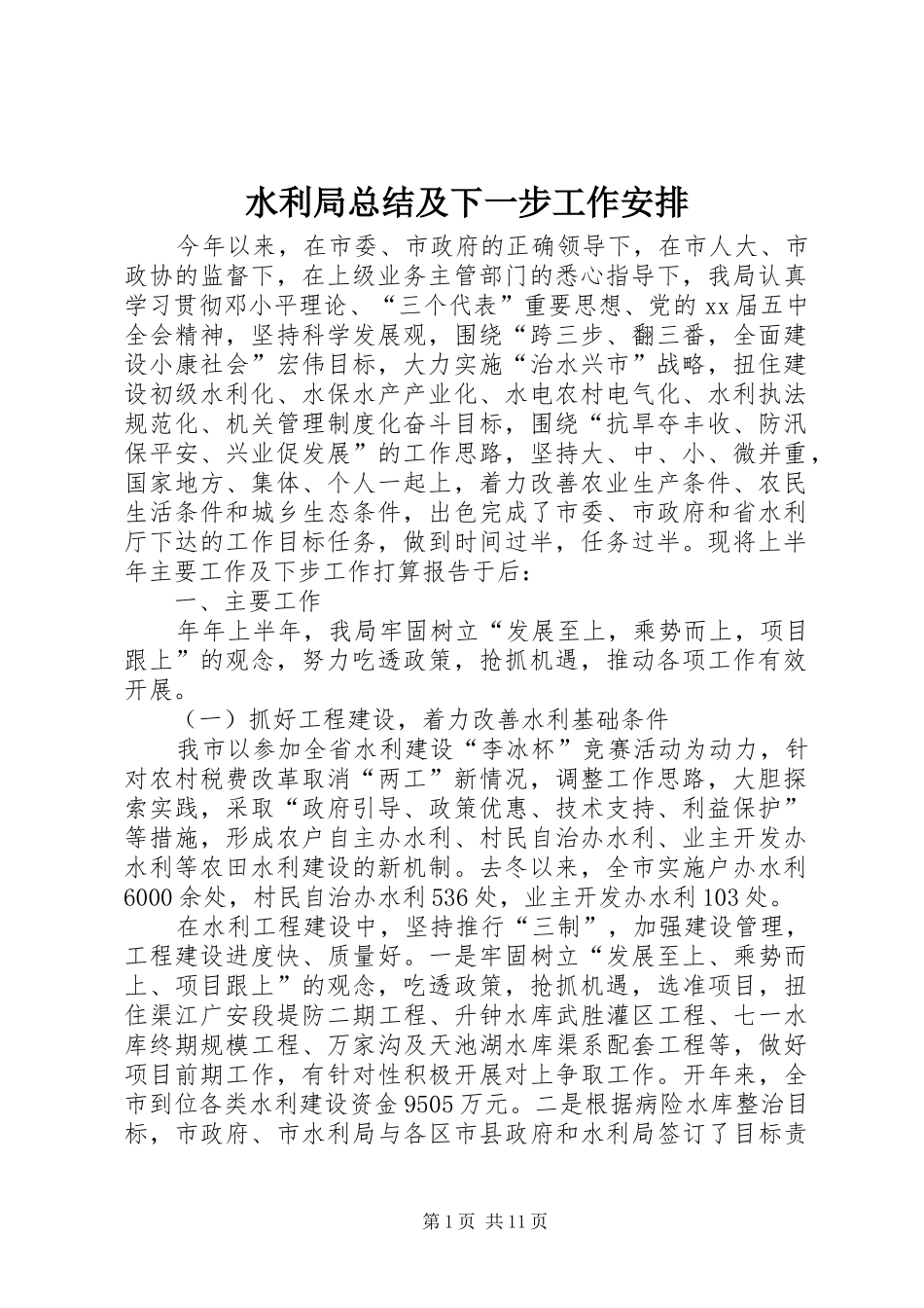 水利局总结及下一步工作安排 _第1页