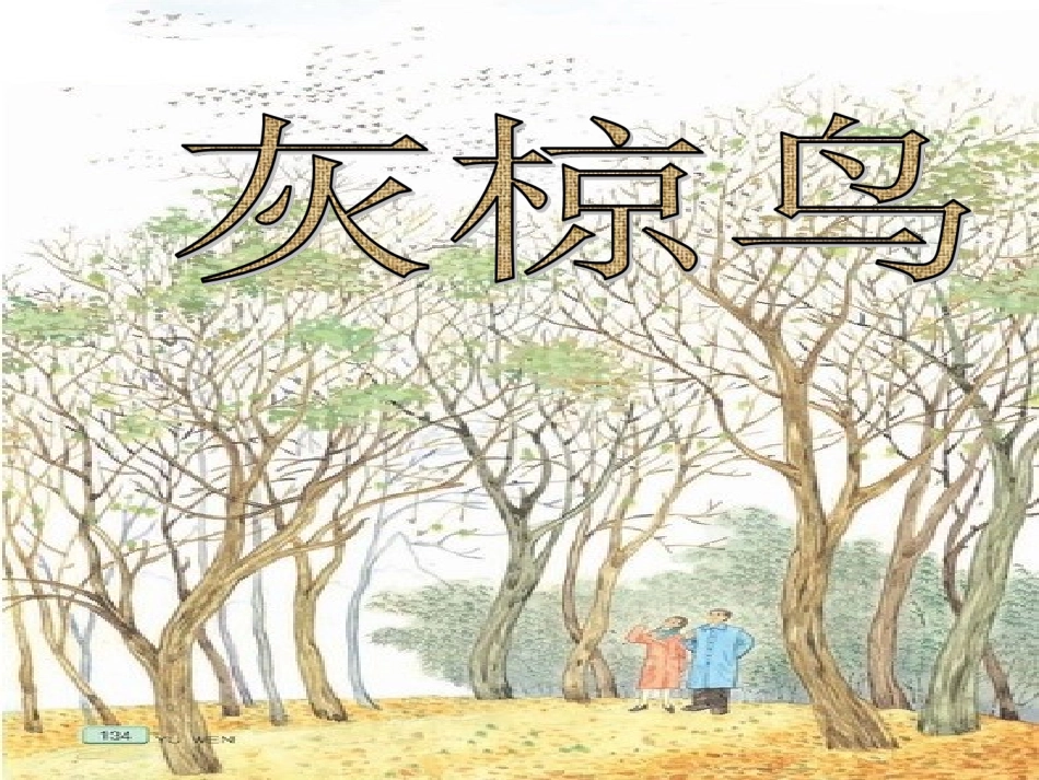 五年级语文下册第七组4灰椋鸟第一课时课件_第1页