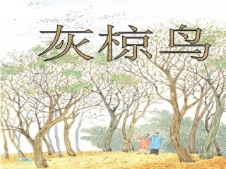 五年级语文下册第七组4灰椋鸟第一课时课件