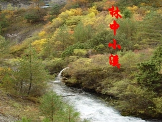 二、《林中小溪》课件