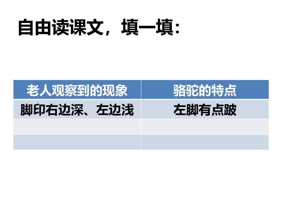 小学语文第五册16课找骆驼_第3页