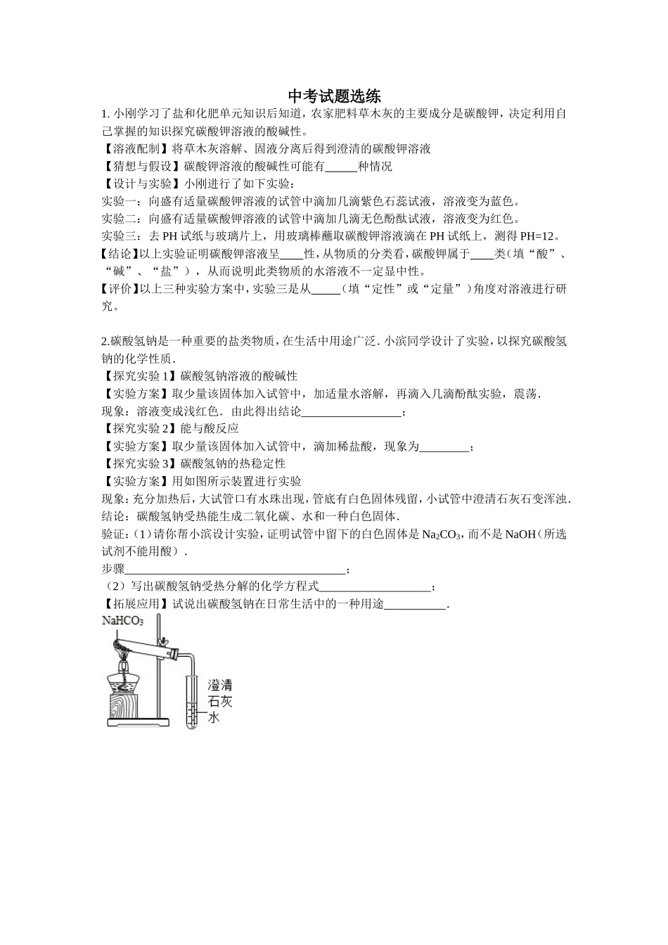 中考试题选练盐_第1页