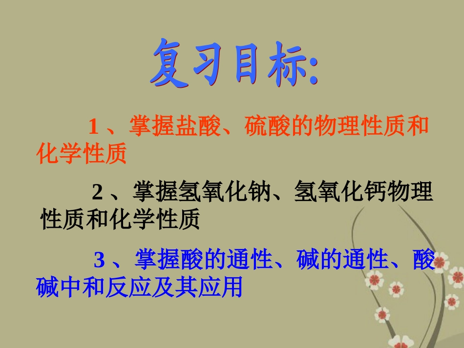 化学：《第10单元酸和碱》总复习课件（人教版九年级）_第2页