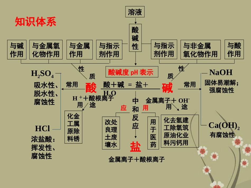 化学：《第10单元酸和碱》总复习课件（人教版九年级）_第3页