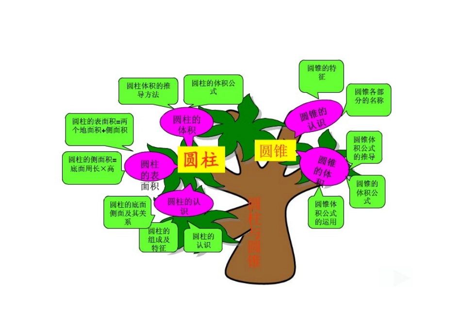 圆柱和圆锥单元知识树_第1页