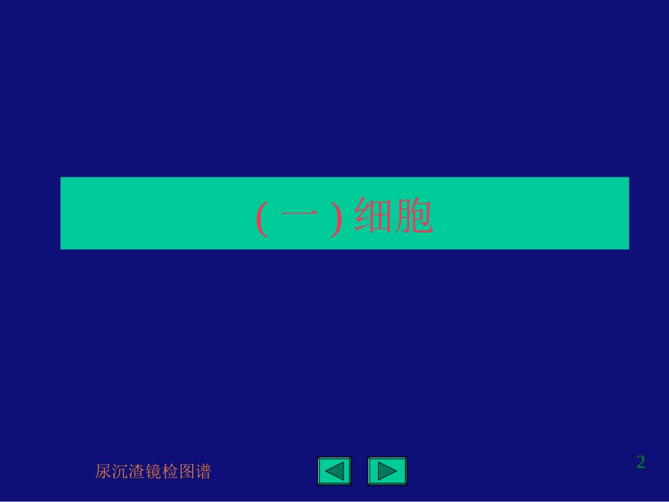 尿沉渣镜检图谱_第2页