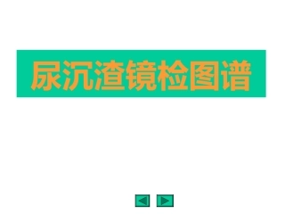 尿沉渣镜检图谱