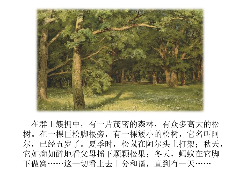 浙美一年级 巧用碎纸片_第2页