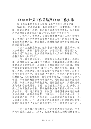 XX年审计局工作总结及XX年工作安排 