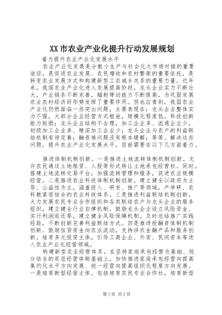 XX市农业产业化提升行动发展规划 
