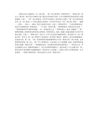番茄太阳反思