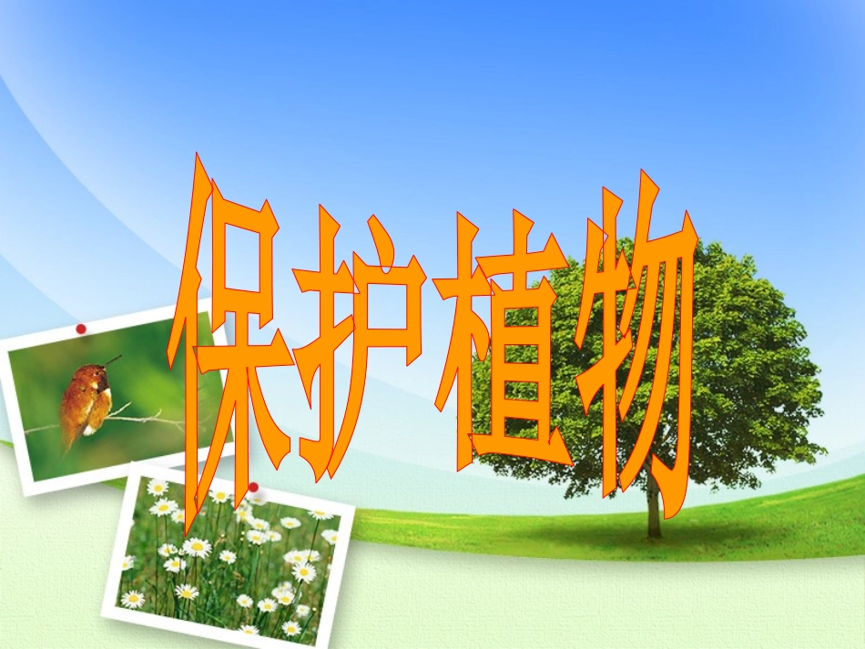 首师大小学科学三上《4.保护植物》PPT课件_第1页