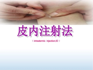 皮内注射课件