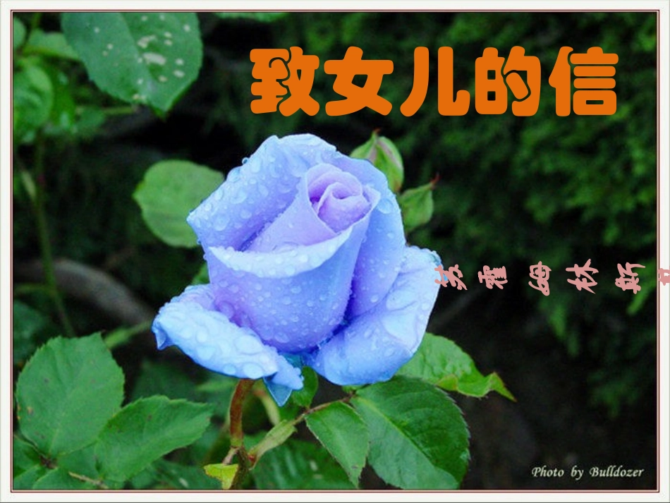 九年级语文上《致女儿的信》课件_第3页