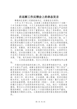 在巡察工作反馈会上的表态发言