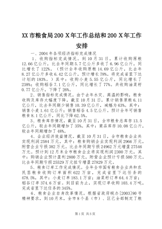 XX市粮食局200Ｘ年工作总结和200Ｘ年工作安排
