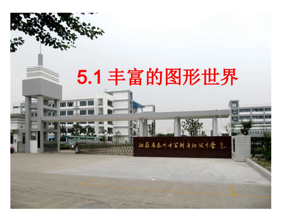 丰富的图形世界_第2页