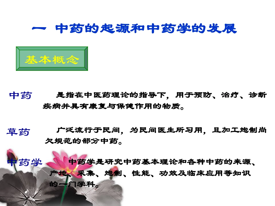 中药基础知识.ppt_第3页