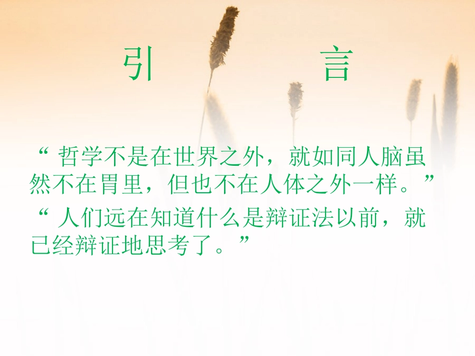 生活中的哲学_第2页