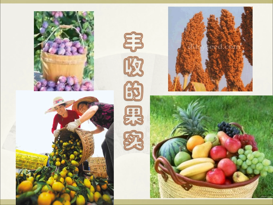 农业区位与地域类型哈_第2页