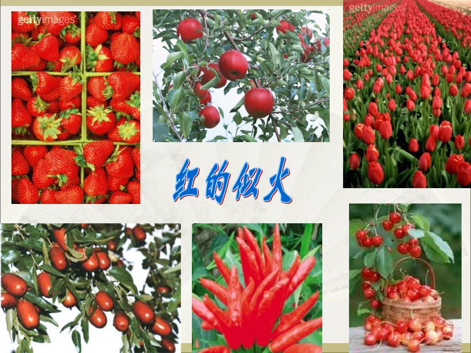 农业区位与地域类型哈_第3页